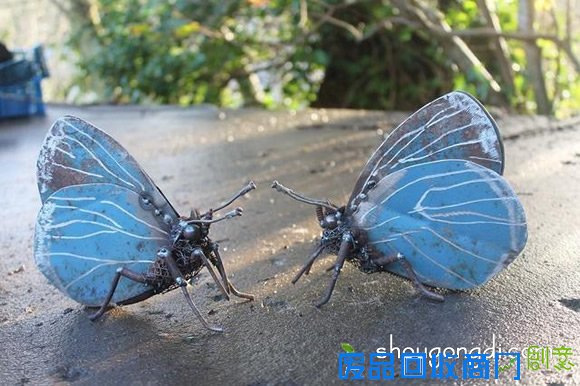 废弃金属再利用DIY制作动物模型的作品图片 -  