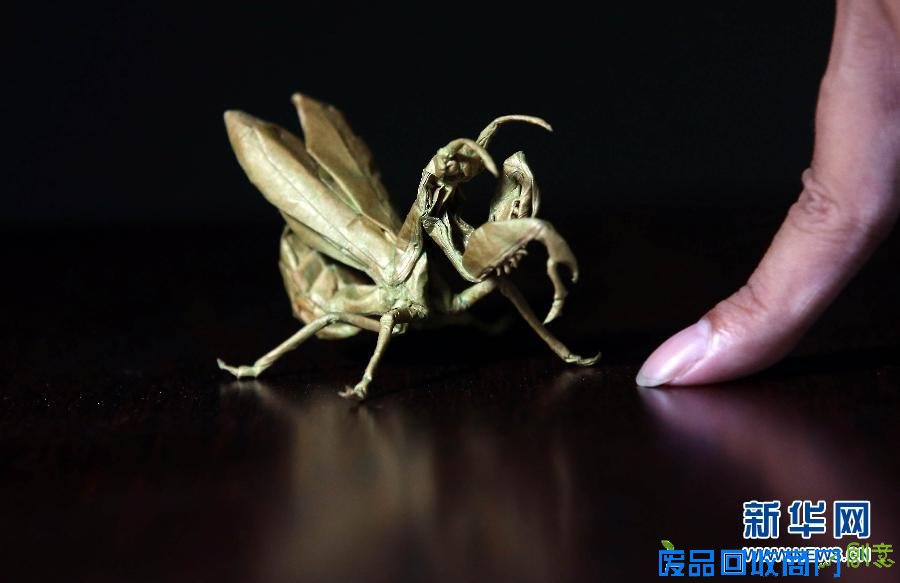 叹为观“纸”：广西90后小伙折纸作品(组图)
