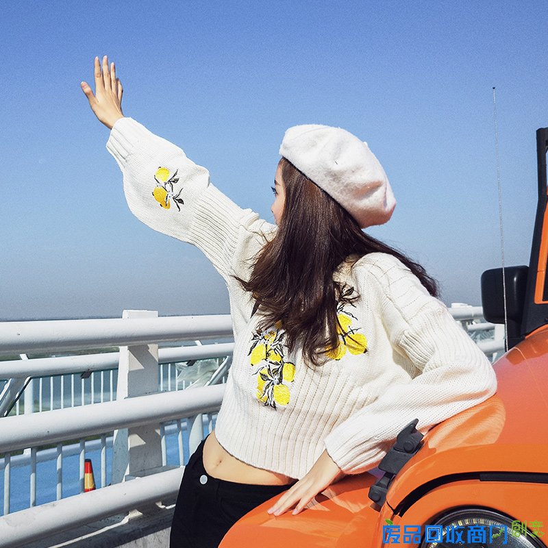 经典刺绣毛衣,打败普通打底衫,新年穿正合适