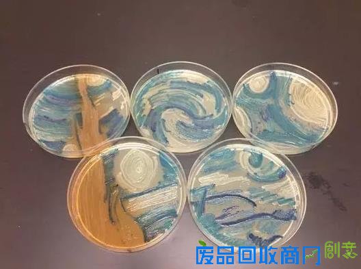 《星夜》再现：科学家利用DNA折纸术复活梵高名作