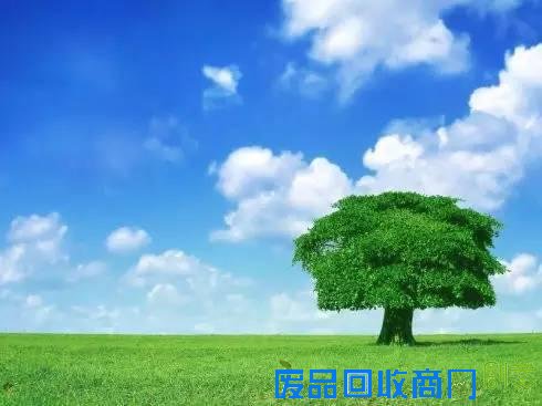 人要像树一样成长，成为路边最美的风景！