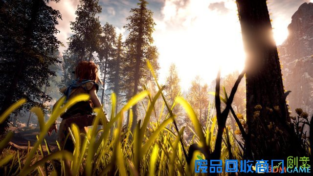 风景绝美!《地平线:零之黎明》偷跑截图曝光