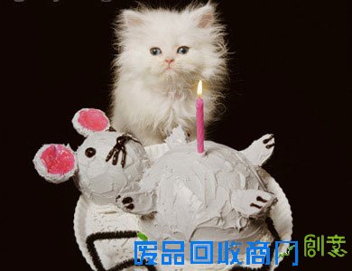 趣味测试：你是否依然“孩子气”(图)