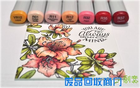 《秘密花园》的绝配 Get尹恩惠同款马克笔