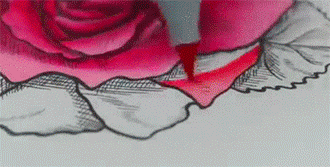 《秘密花园》的绝配 Get尹恩惠同款马克笔