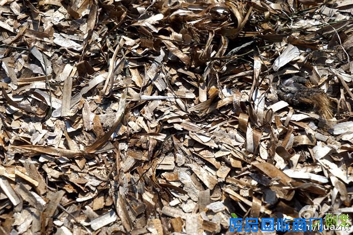 【西班牙】西班牙最美的海,在福门特拉岛