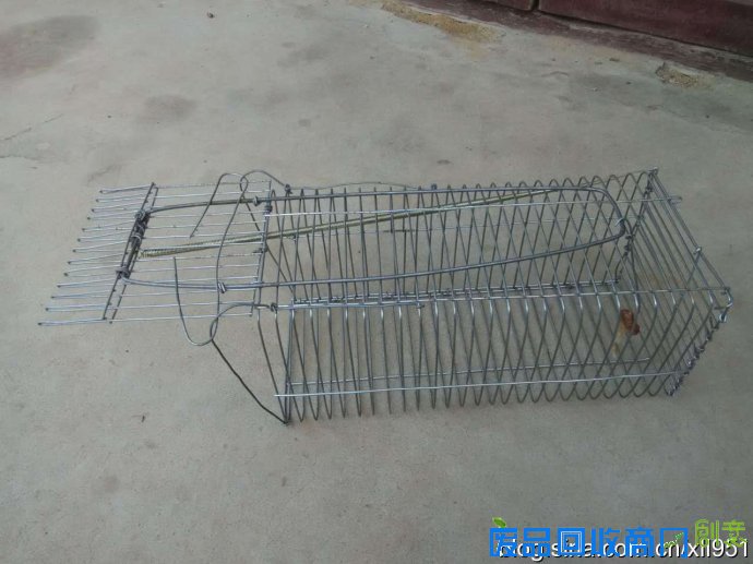 捕黄鼠狼自制工具图片，黄鼠狼进家是吉还是凶？