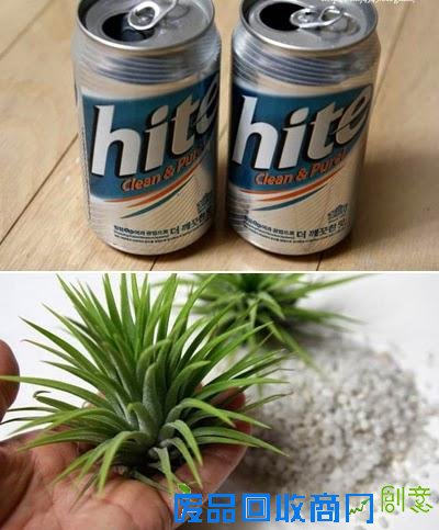变废为宝:用易拉罐DIY打造的吊兰花盆