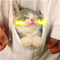 害羞猫咪头像