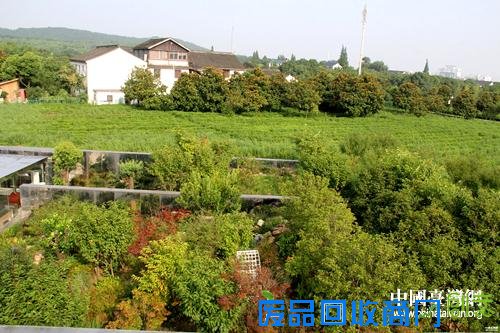 第二届“海外台湾留学生长三角研习营”营员参访旺山村。中国台湾网记者