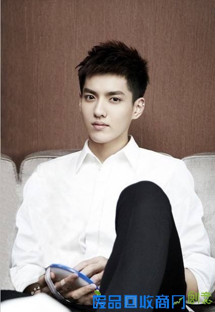 TFboys李易峰吴亦凡鹿晗欧豪 85后“小鲜肉”男星最帅排行榜(图)