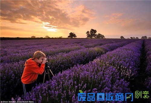 6岁神童具摄影天赋 巧选景拍壮观唯美场面