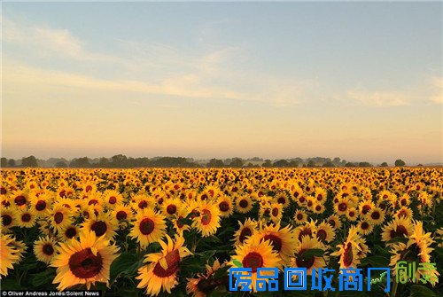 6岁神童具摄影天赋 巧选景拍壮观唯美场面