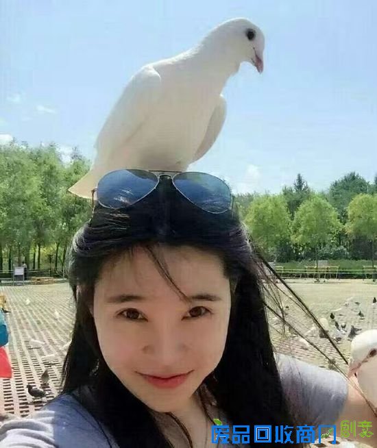 每一张美照的背后，都是一把辛酸泪。。