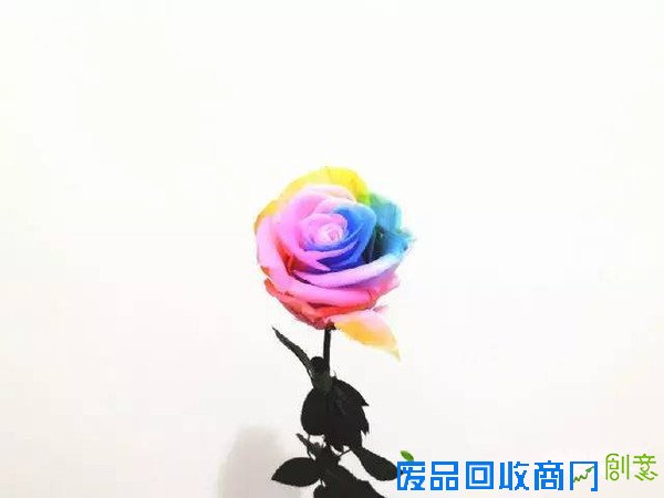 浪漫到爆!七夕节最特别礼物,你选哪一个?