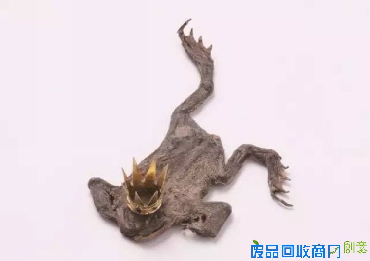 他用黄金珠宝,让动物尸体、树枝、纸张变成生动的首饰