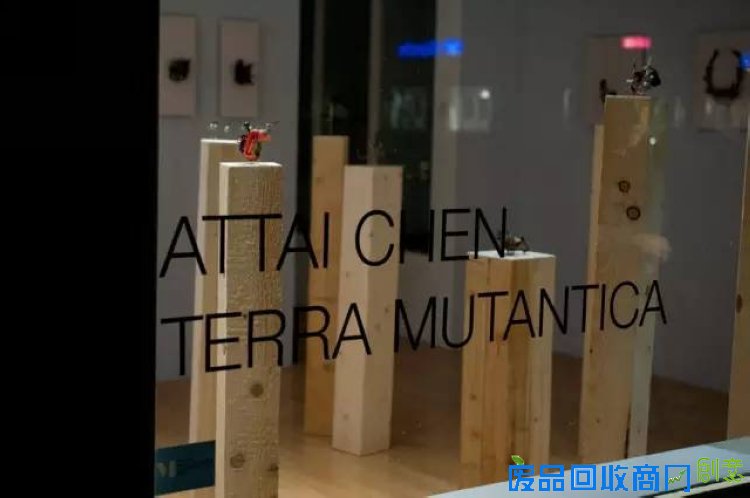 他用黄金珠宝,让动物尸体、树枝、纸张变成生动的首饰