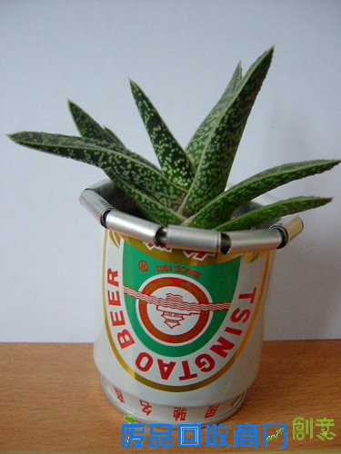 收集DIY花盆做法2—易拉罐花盆