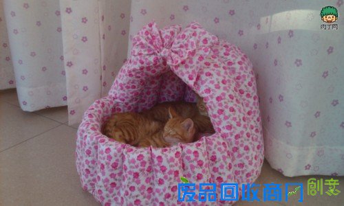 千香百合：手工布艺漂亮精美的自制猫窝的方法图解