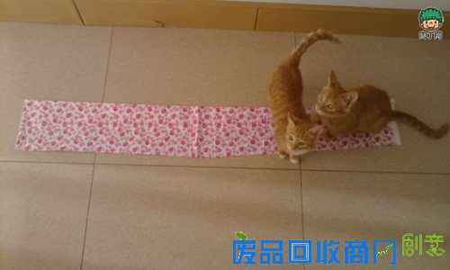 千香百合：手工布艺漂亮精美的自制猫窝的方法图解
