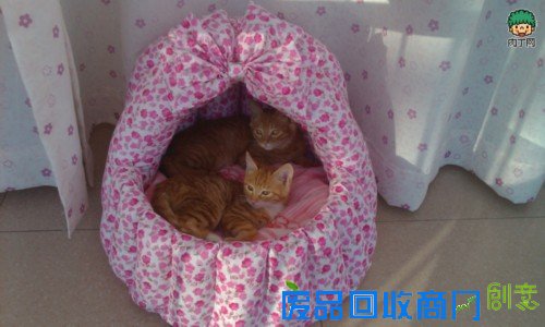 千香百合：手工布艺漂亮精美的自制猫窝的方法图解