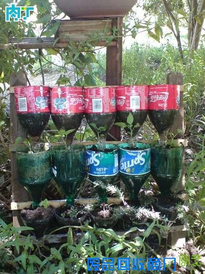 用塑料瓶制作的花盆 饮料瓶DIY创意立体花园的制作详解╭★肉丁园艺网