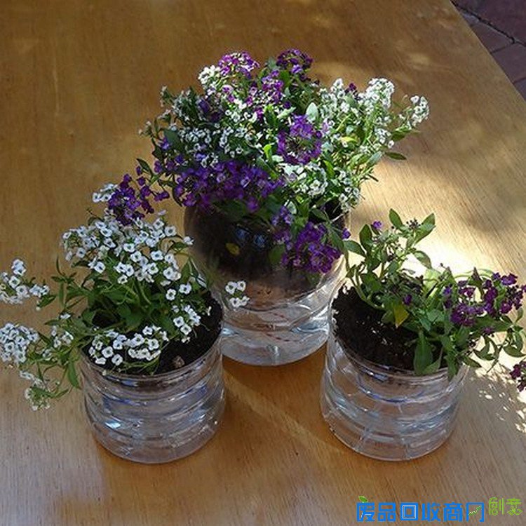 再生塑料果汁瓶园艺