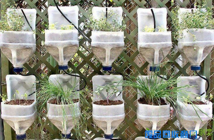 回收的塑料瓶牛奶花园