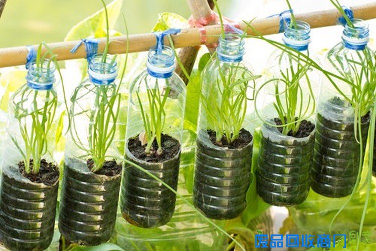 回收的塑料瓶挂播种机