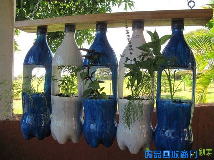 DIY塑料瓶的花园