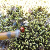 簡単！DIYでアンティーク風の家具を作ろう