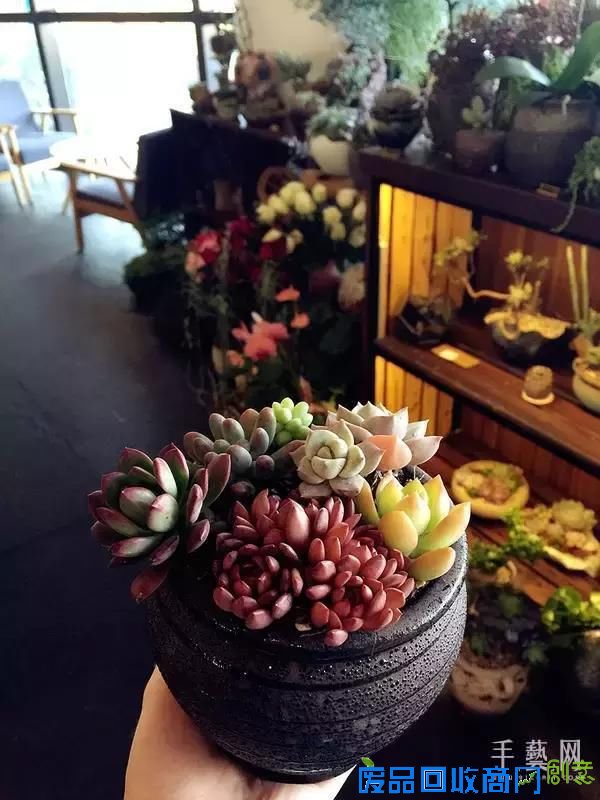 这些脱单活动，我全部都想去！l 城与周末 Vol.6