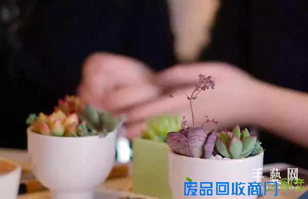 这些脱单活动，我全部都想去！l 城与周末 Vol.6