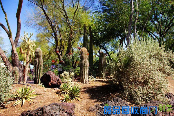 拉斯维加斯包车一日游，不能错过的景点推荐