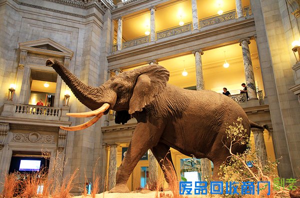 拉斯维加斯包车一日游，不能错过的景点推荐