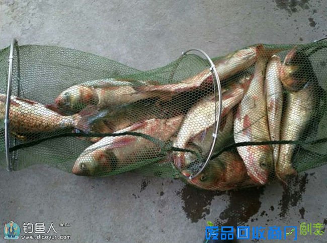 图解海竿钓鲢鳙利器水怪花篮制作方法