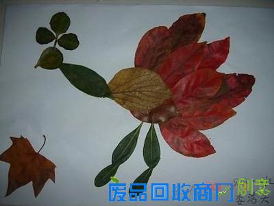 树叶粘贴画怎么做？蝴蝶教程及树叶贴画作品、树叶粘贴画图片大全◆肉丁儿童