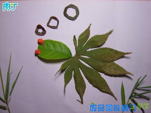 树叶粘贴画怎么做？蝴蝶教程及树叶贴画作品、树叶粘贴画图片大全◆肉丁儿童