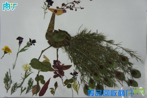 树叶粘贴画怎么做？蝴蝶教程及树叶贴画作品、树叶粘贴画图片大全◆肉丁儿童