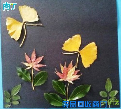 树叶粘贴画怎么做？蝴蝶教程及树叶贴画作品、树叶粘贴画图片大全◆肉丁儿童