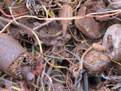 չ ͭչ շϵ չϾɱѹͭ չϾɵԴ