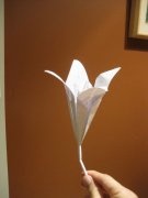 手工折纸百合花