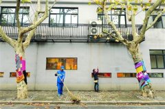 南昌路行道树毛衣仅穿6天被脱 专家:应对创意多些宽容