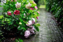 唯美意境伤感雨中美景意境图片