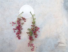 第六届大理国际影会：输入