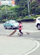 萌鸭 天天陪主人扫大街