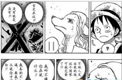 海贼王漫画809话情报图透分析 海贼王 810话什么时候更新播出？