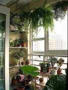 最新阳台装修效果图 40图创意设计