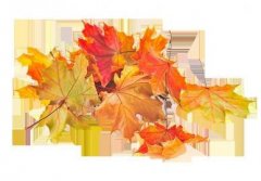 悲伤 是有科学依据的！(图)