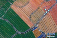 摄影师拍广西迷人田园秋色(1)